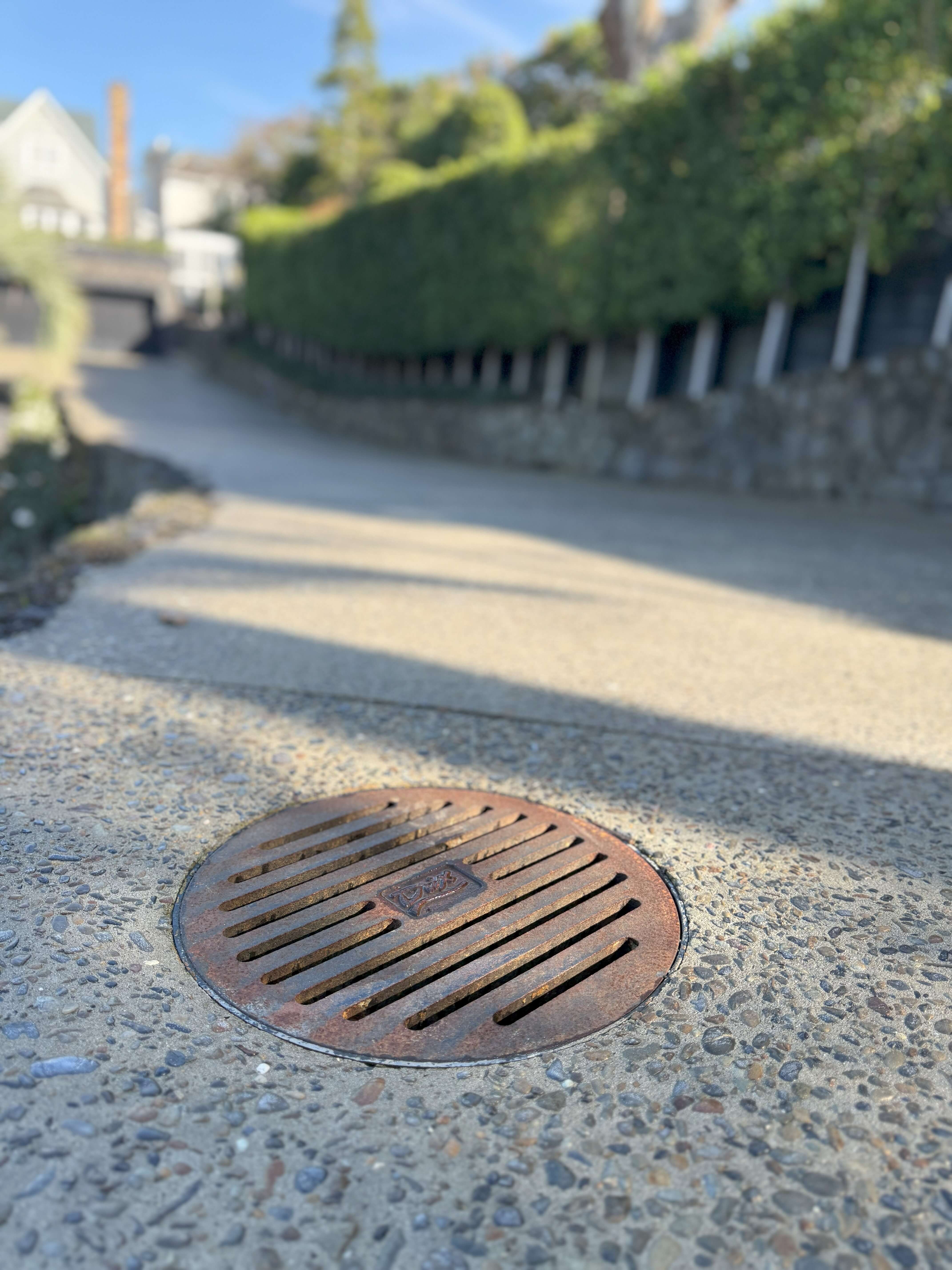 Completed Driveway with Drain
