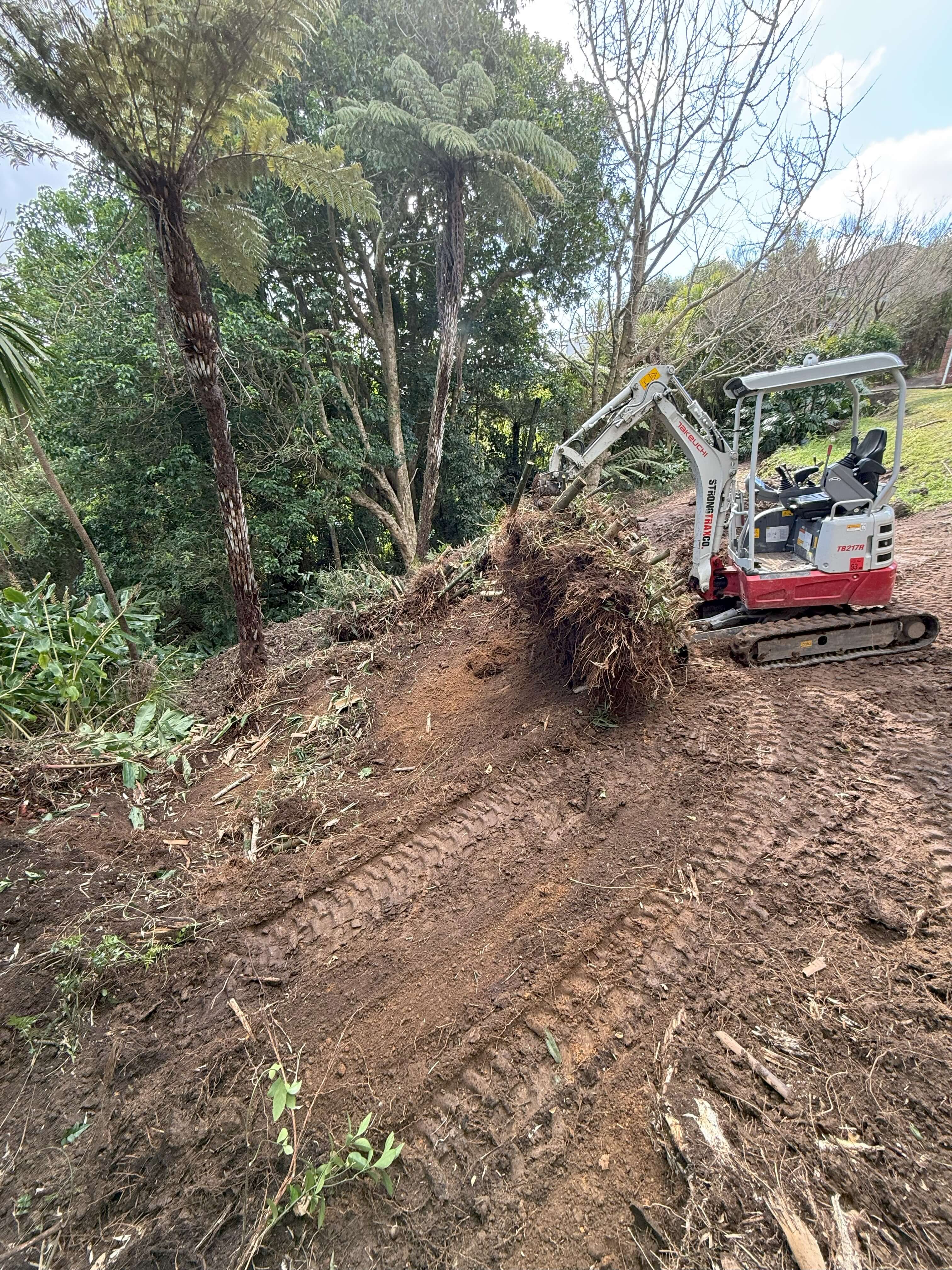 Bush Section Clearing