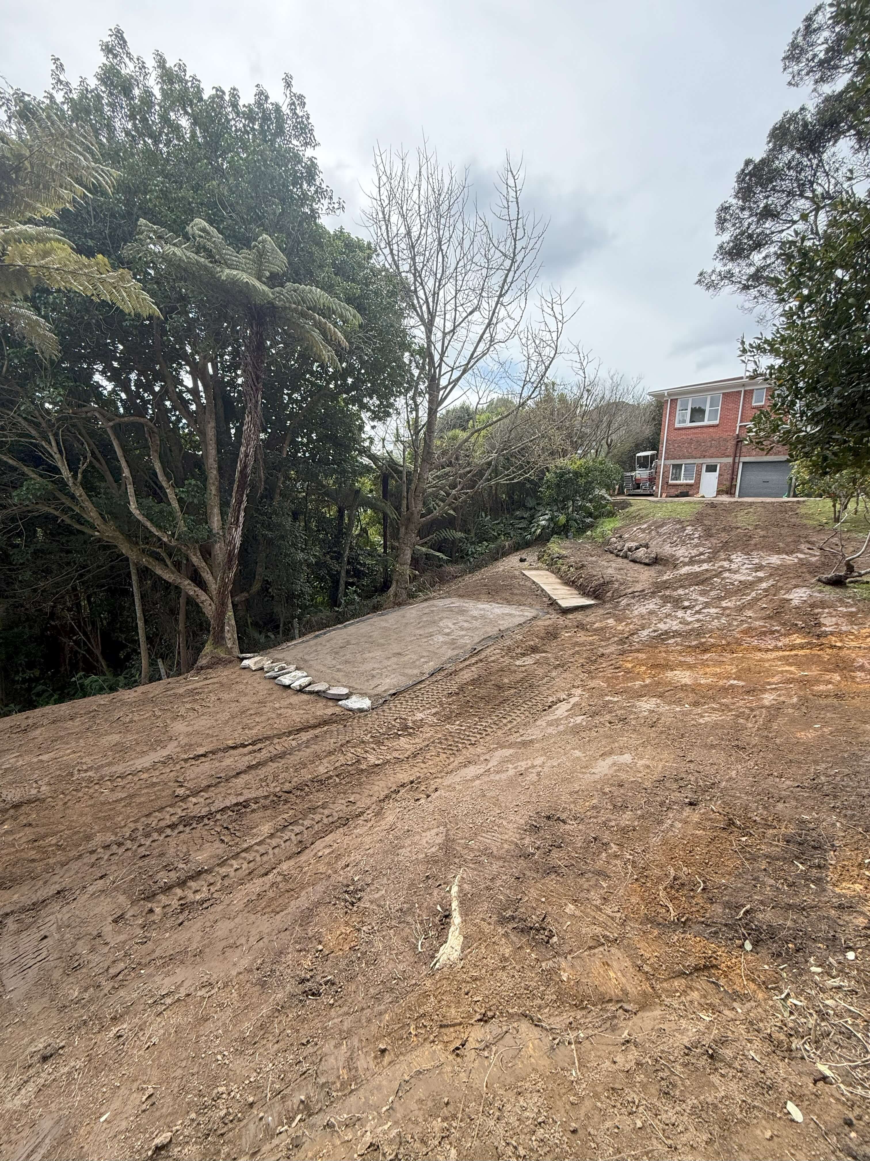 Cleared Section